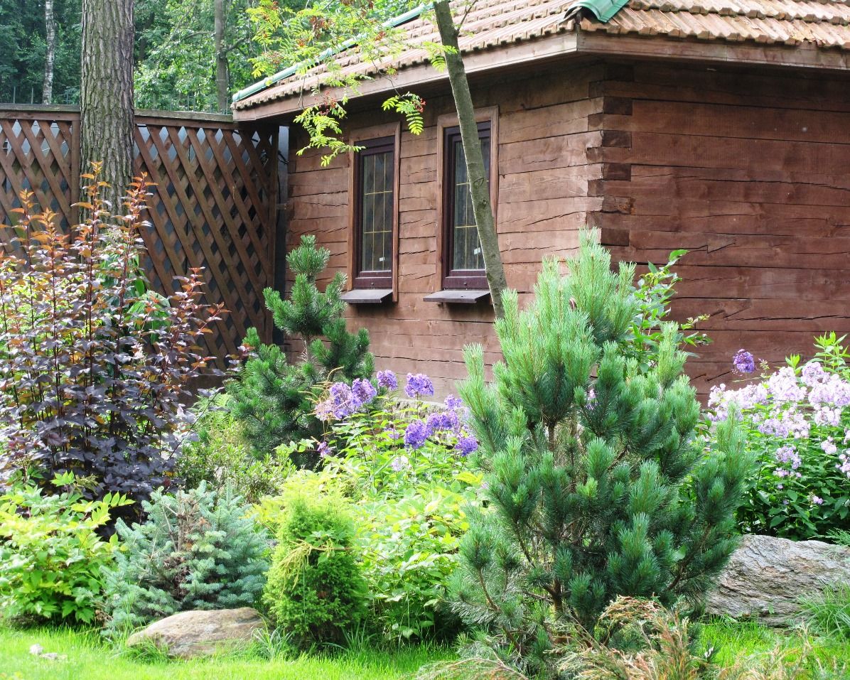 Проект Переделкино